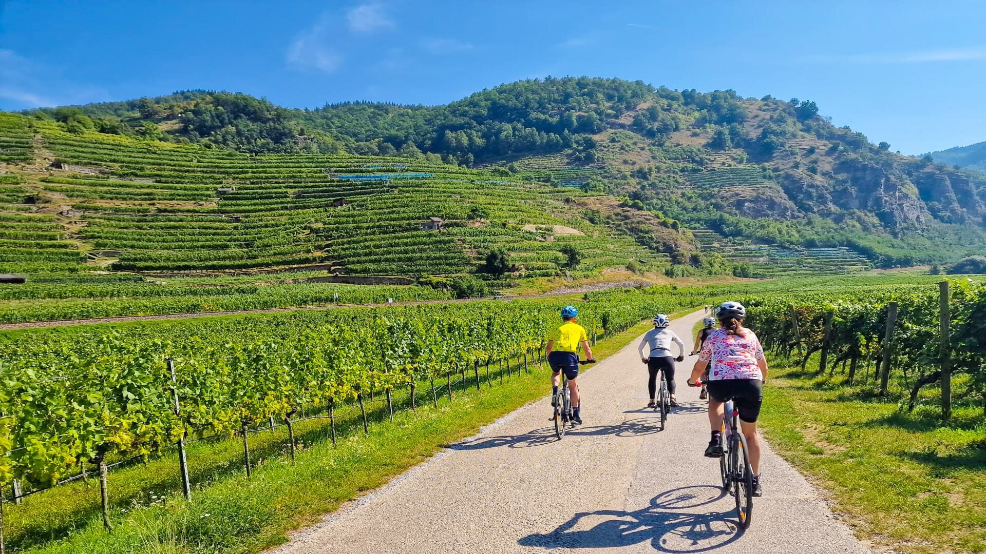 Cyclists riding through a peaceful countryside path surrounded by greenery